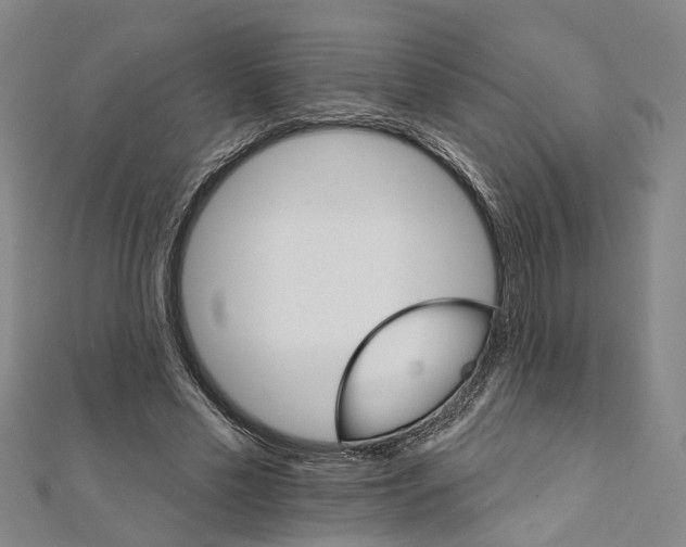 X0000111800589200908201155