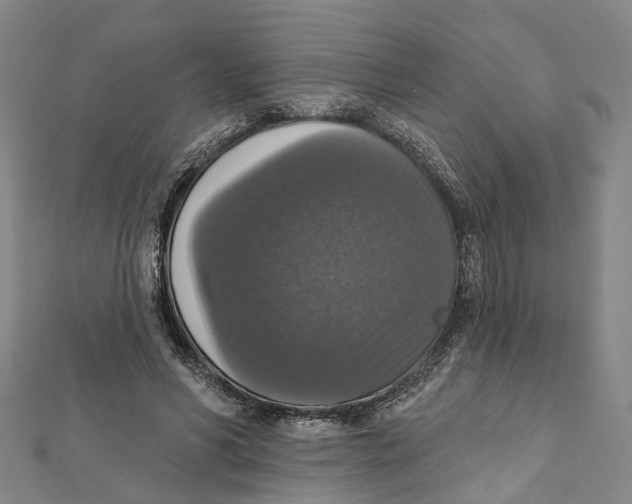 X0000111800590200908201155