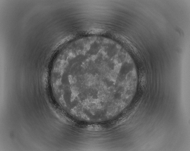 X0000111800591200908201155