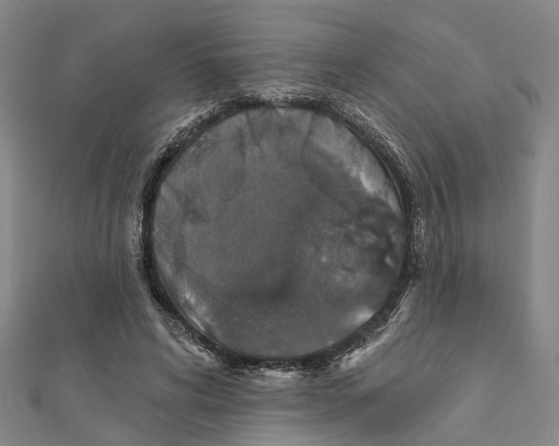 X0000111800592200908201155