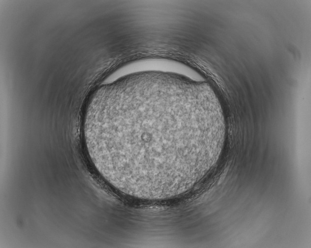 X0000111800593200908201155