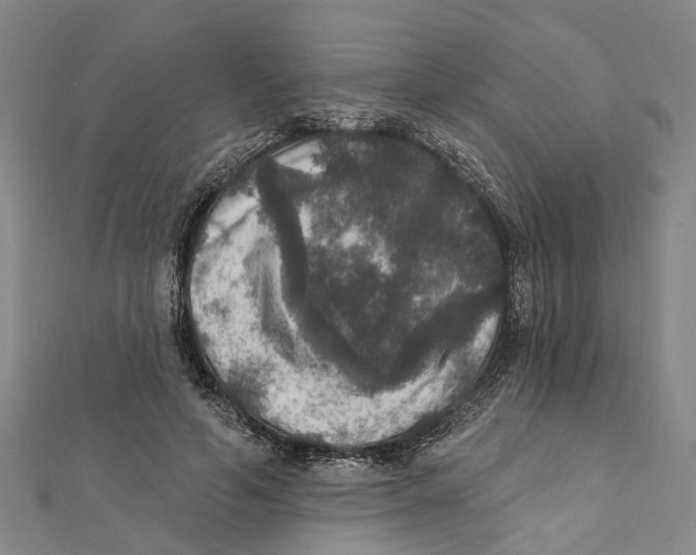 X0000111800594200908201155
