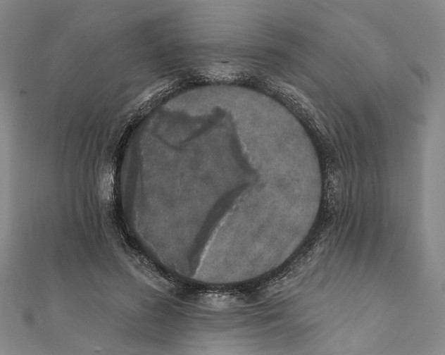 X0000111800596200908201155