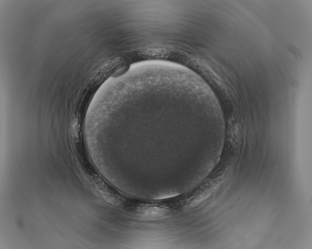 X0000111800597200908201155