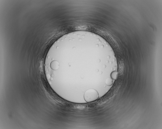 X0000111800598200908201155