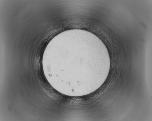 X0000111800599200908201155