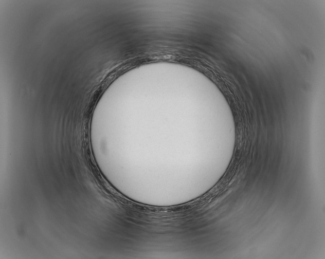 X0000111800600200908201155
