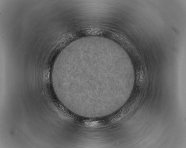 X0000111800602200908201155