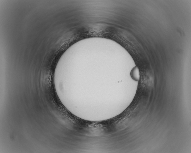 X0000111800603200908201155