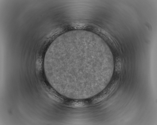 X0000111800604200908201155