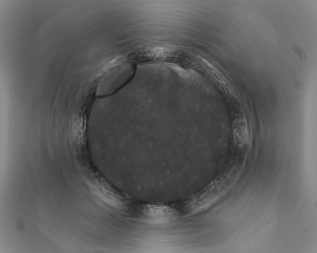 X0000111800605200908201155
