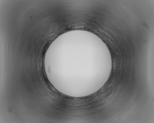 X0000111800608200908201155