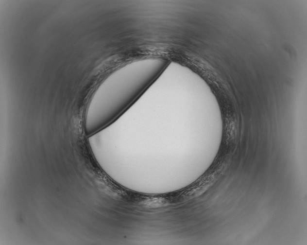 X0000111800609200908201155