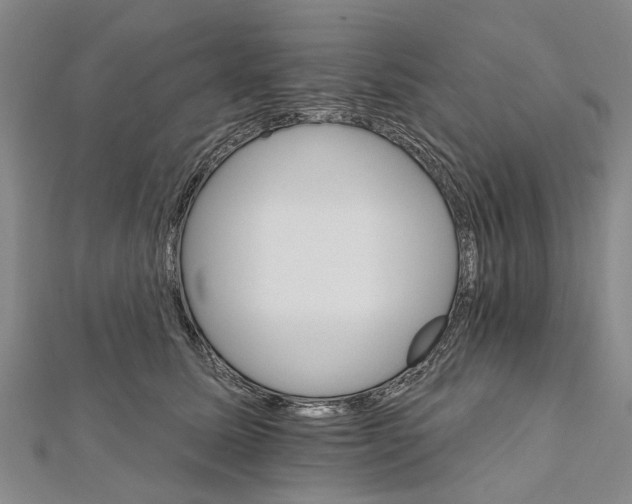 X0000111800611200908201155
