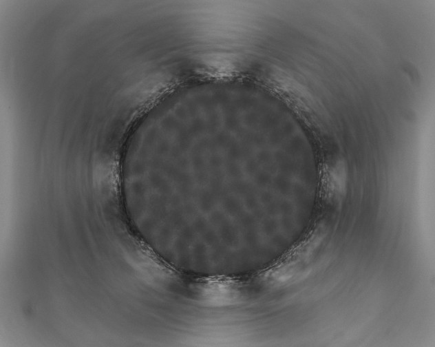 X0000111800612200908201155