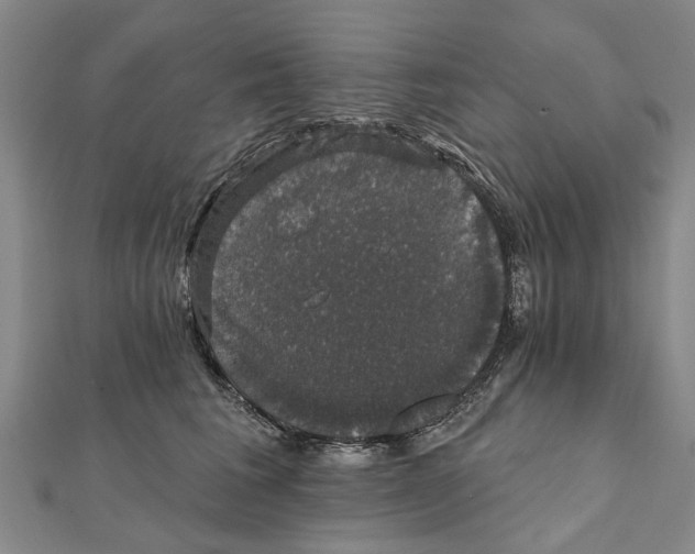 X0000111800613200908201155