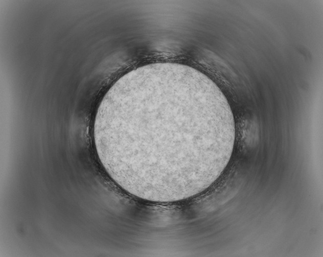 X0000111800615200908201155
