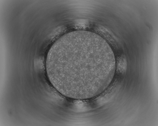 X0000111800616200908201155