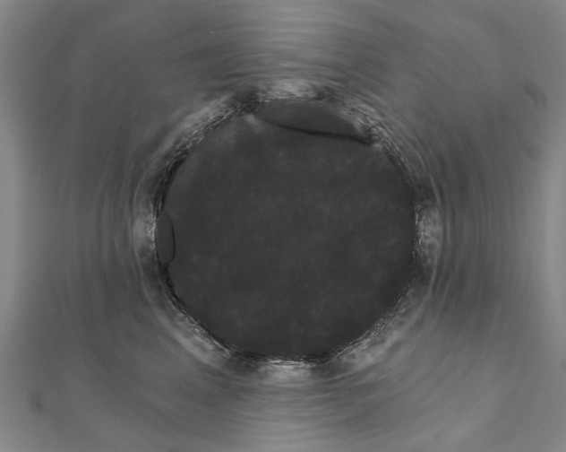 X0000111800617200908201155