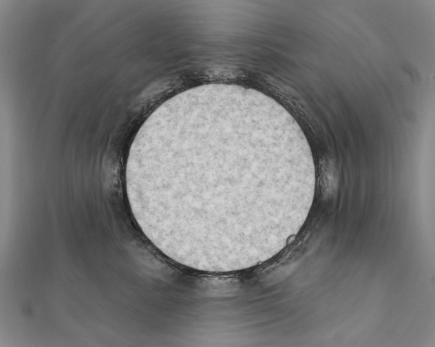 X0000111800619200908201154