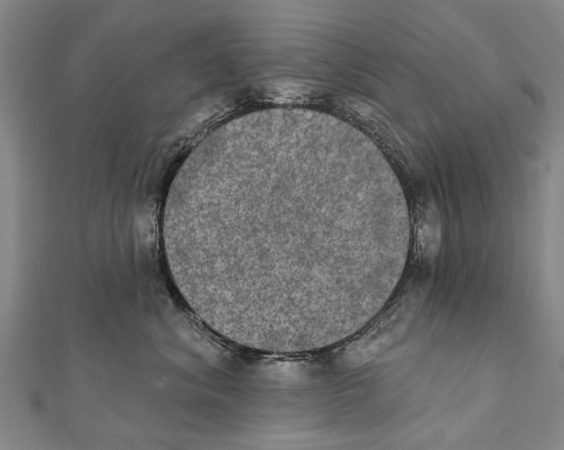 X0000111800620200908201154