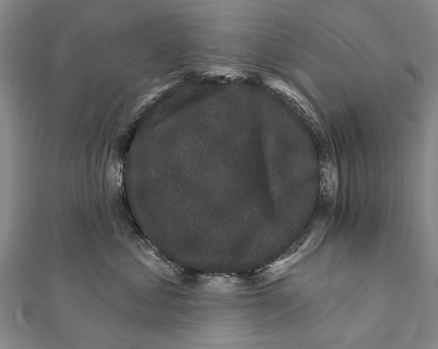 X0000111800621200908201154