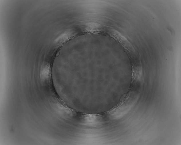 X0000111800623200908201154