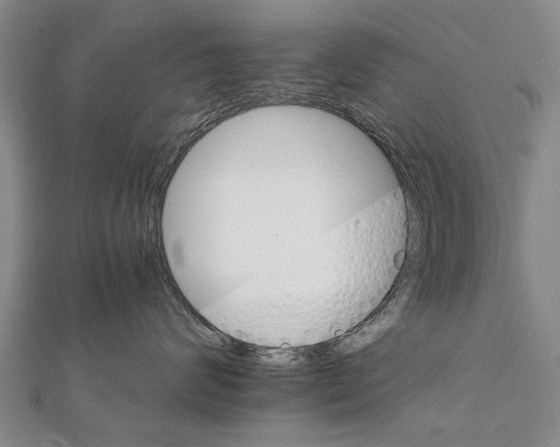 X0000111800624200908201154