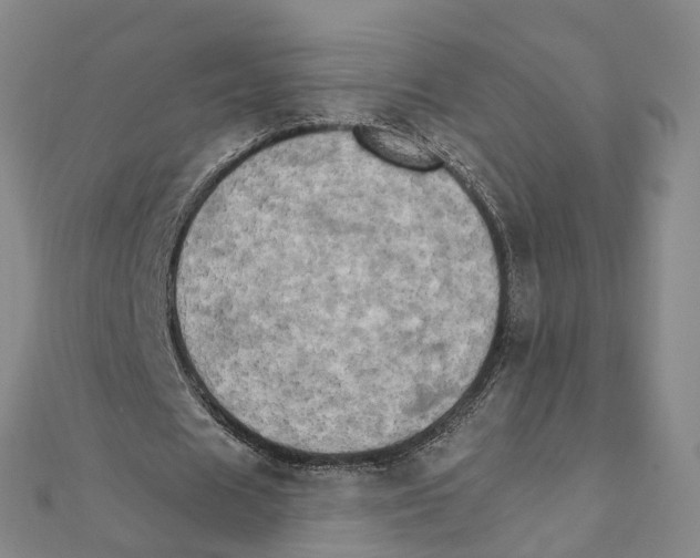 X0000111800625200908201154