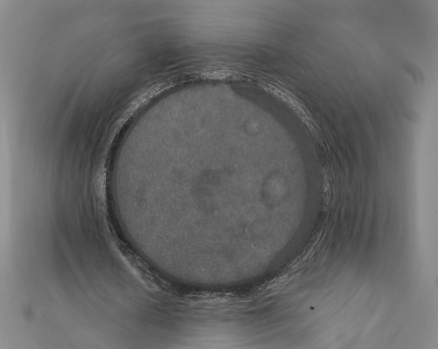 X0000111800626200908201154