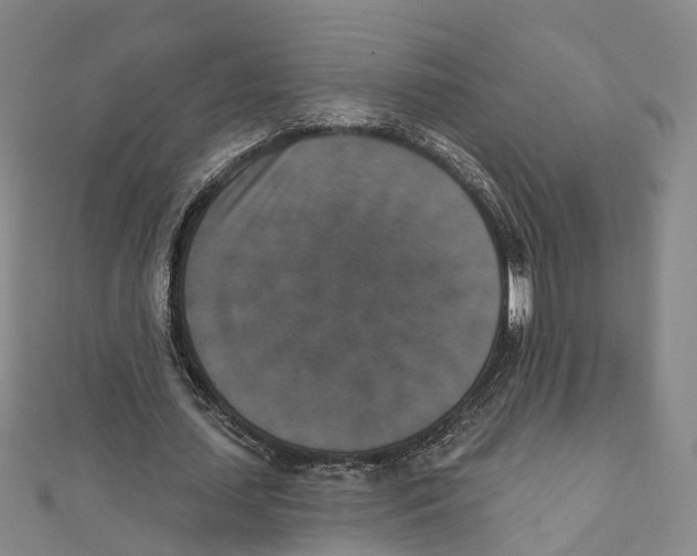 X0000111800627200908201154