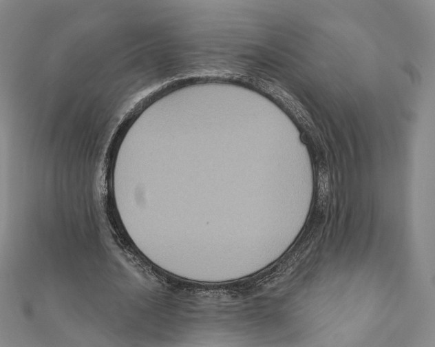 X0000111800628200908201154
