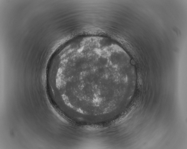 X0000111800630200908201154