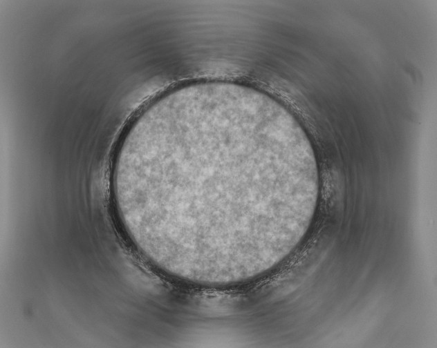 X0000111800632200908201154