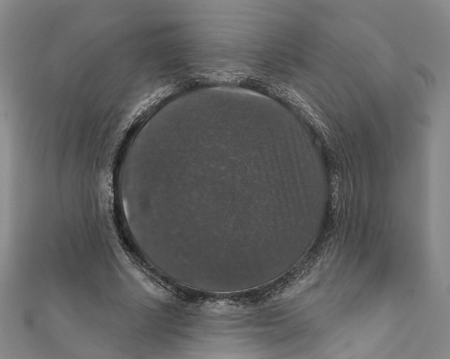 X0000111800634200908201154