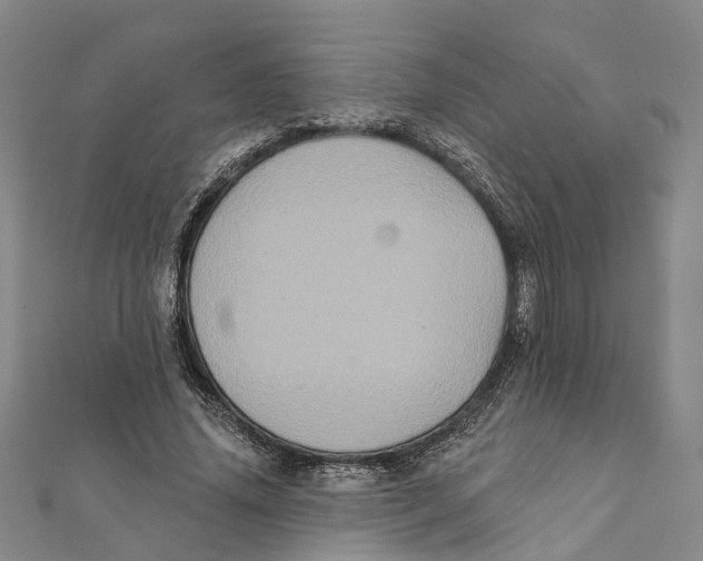 X0000111800636200908201154
