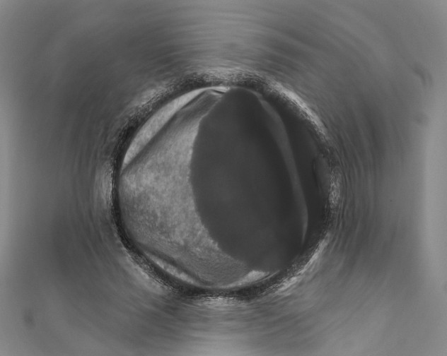 X0000111800637200908201154