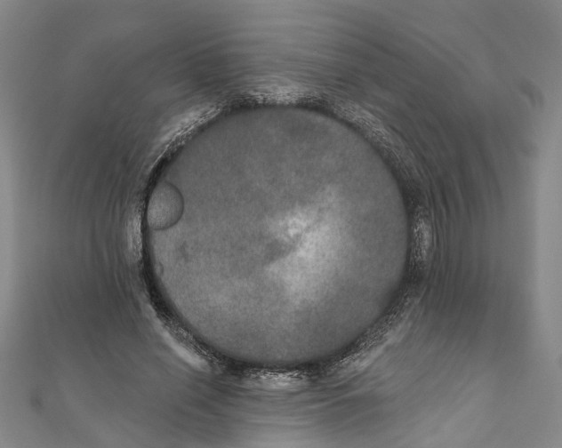 X0000111800638200908201154
