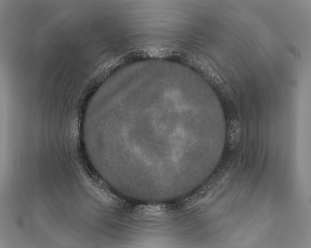 X0000111800639200908201154