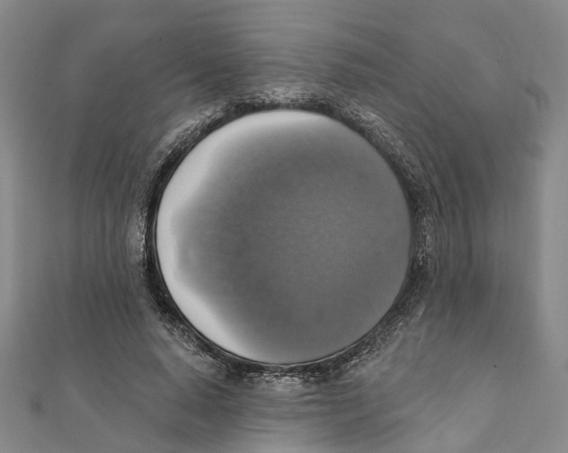 X0000111800640200908201154