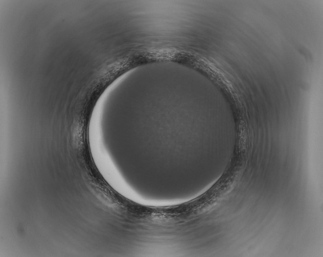 X0000111800641200908201154