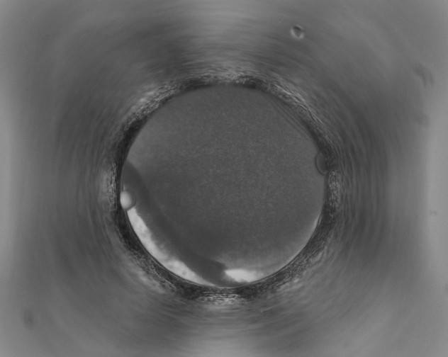 X0000111800642200908201154