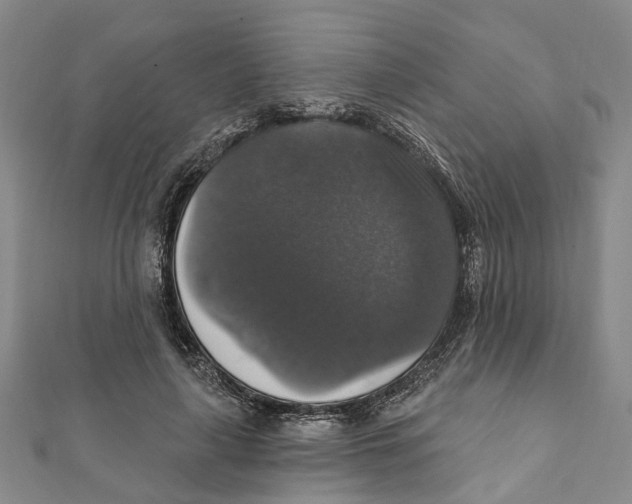 X0000111800643200908201154
