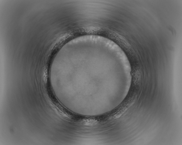 X0000111800644200908201154