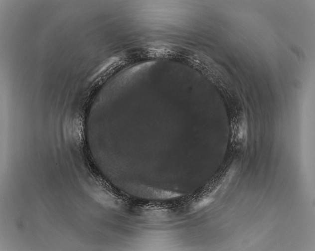 X0000111800648200908201154