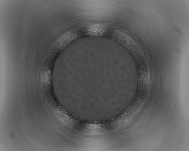 X0000111800649200908201154