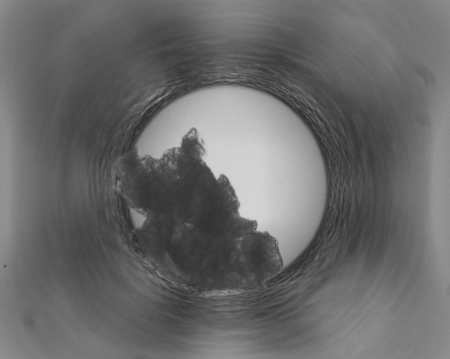 X0000111800652200908201154