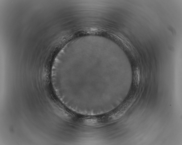X0000111800653200908201154