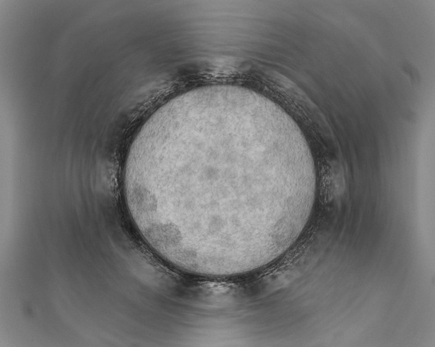 X0000111800654200908201154