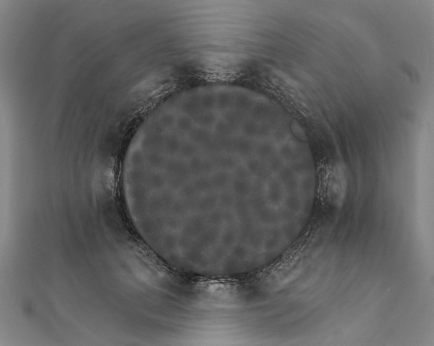 X0000111800655200908201154